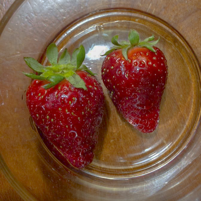 Fragole