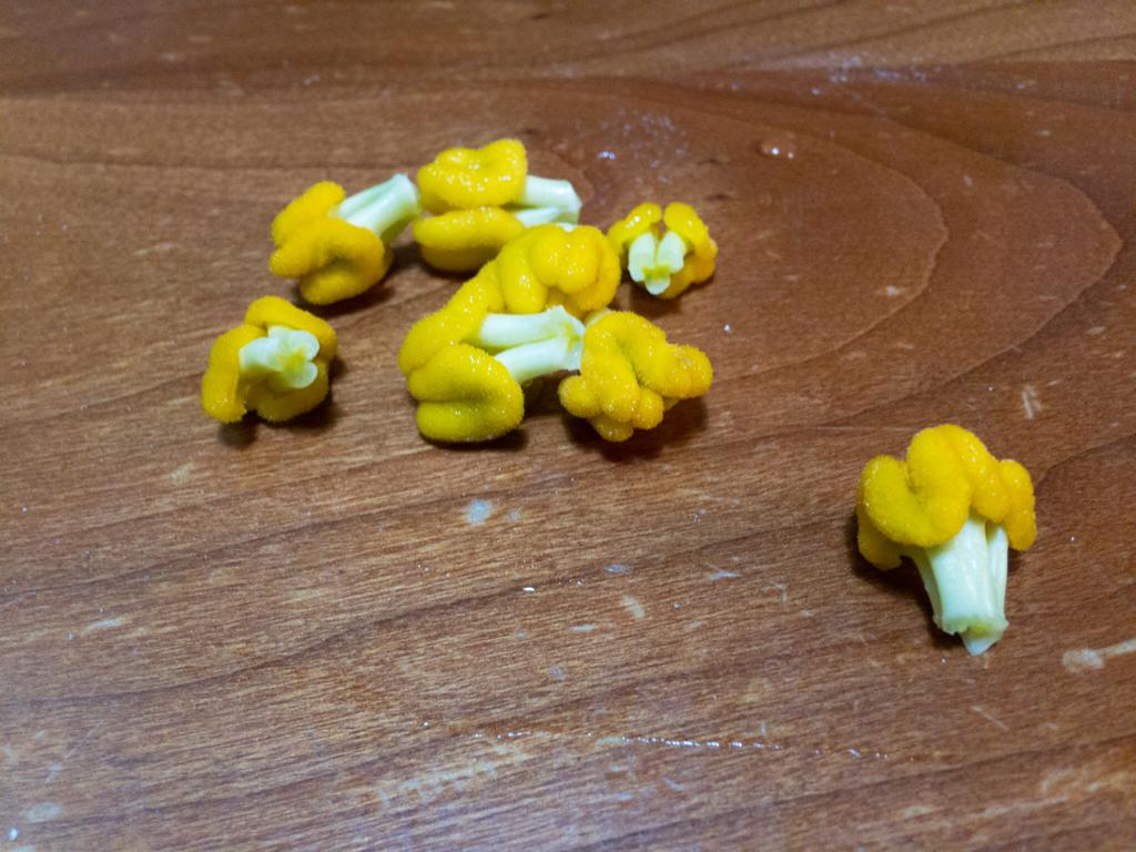 Pistilli di fiori di zucchina